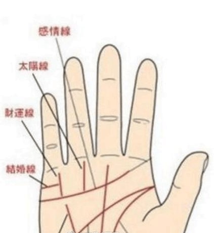 安阁命理风水: 人无横财不富, 马无夜草不肥, 手相有三条手腕线, 中年