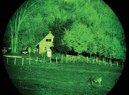 大家有没有发现猫咪的瞳孔总在变化…