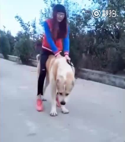 女主人骑在狗狗身上,直接抖了起来,结.