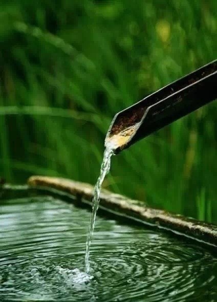 引发热议！济南上善若水有服务吗？全方位服务解析与本地体验分享