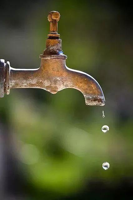 教你自制洗洁精把它切一切瞬间光洁如新清洁效果加倍