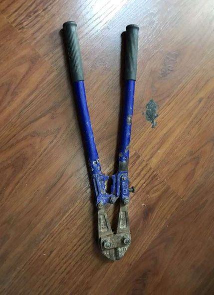 偷狗的工具为何当"狗王"郑某某走近时,狗都不叫,他能直接剪断铁链将狗