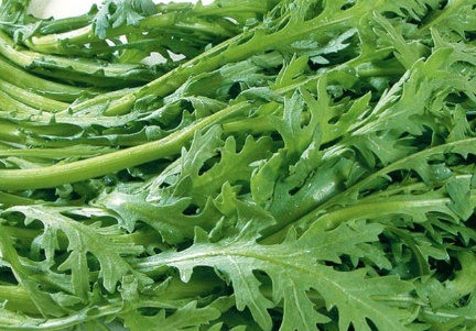 皇帝菜是什么菜,皇帝菜的功效和作用