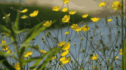 434_243gif 动态图 动图