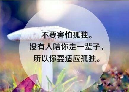 比猛虎更可怕的,是人心的现实(深度好文)