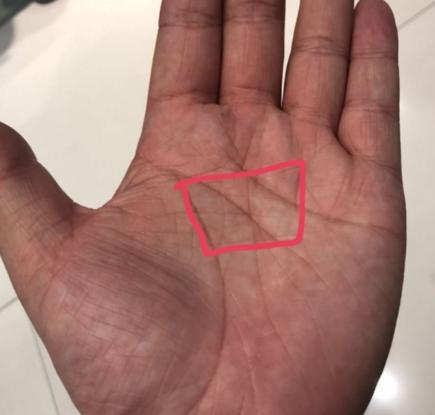 手中有三角纹的人必是人中龙凤命好财更多迟早成大器