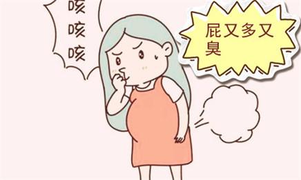 为什么怀孕之后老是爱放屁,而且还都是又臭又响?好丢人