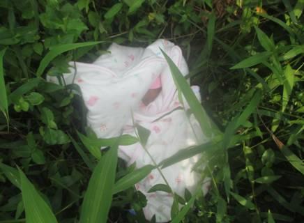 早产女婴被弃三天后获救