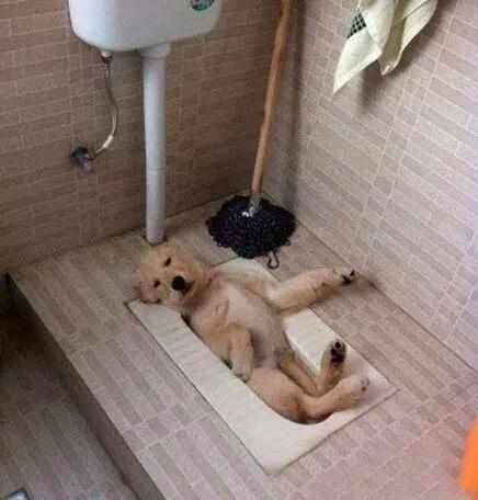 搞笑段子:一个人挤地铁,两个流氓对我动手动脚