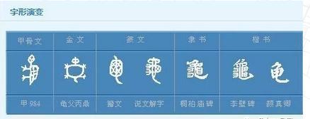 “龟”字的文化渊源|渊源|文化|礼记_新浪新闻