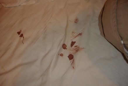结果老婆一把推开我,而且惊恐的看着我.