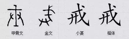 汉字|甲骨文|中国人_新浪新闻