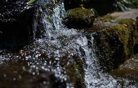 引发热议！济南上善若水有服务吗？全方位服务解析与本地体验分享