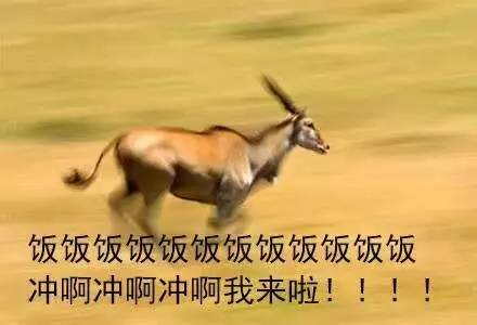 各种动物们冲去吃饭表情包