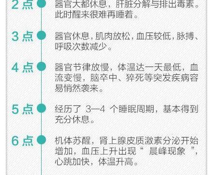 养生必看!24小时人体时间表!|生物钟|慢性病|补救_新浪新闻