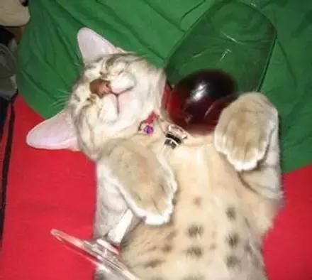 不许笑工地岗位表情一览表看看你中招没