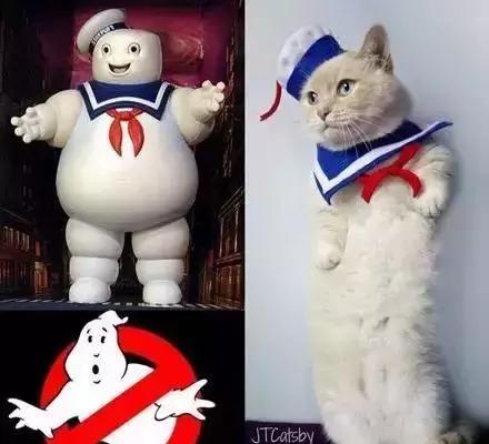 这cos超人,有点太勉强吧?