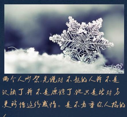 对不起的人并不是认输了,并不是原谅了,他只是比对方,更珍惜这份感情