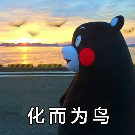 爆笑段子:北冥有鱼 其名为鲲 鲲之大 一锅炖不下