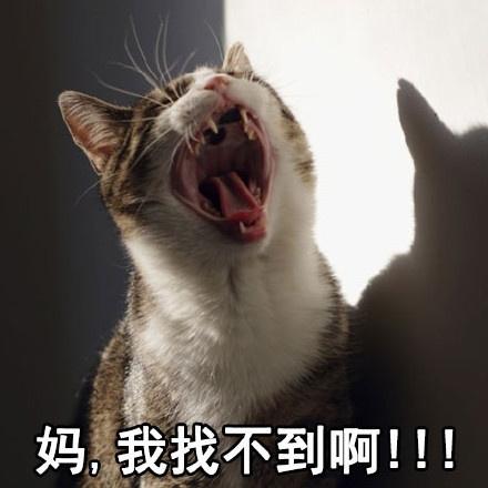离不开我妈,每天和妈的日常萌萌表情包,你妈喊你回家吃饭!