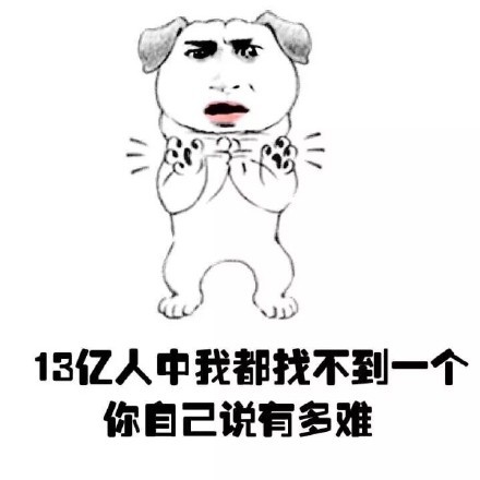 这世界真tm难!(狗狗)