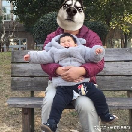 熊孩子过年不愿拍照,被爹妈强行拎在手里,最后被网友做成表情包