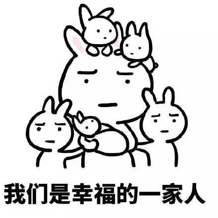 快去给我生孩子 (恶搞兔表情包)