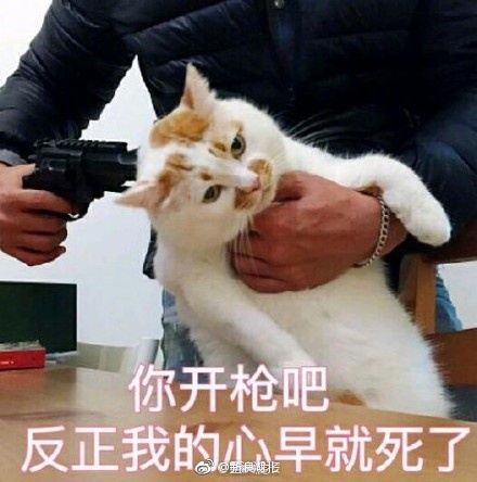 六旬阿姨听闻女儿被绑架 电话回应骗子:撕票吧[允悲]