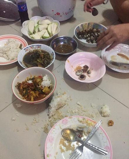 宠友上洗手间回来,看饭被打翻,质问凶手时,三只猫无辜的看着她