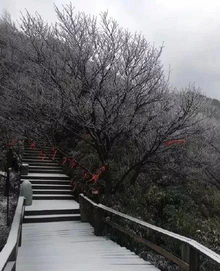 下雪了!今年冬天最大降雪!重庆彻底美哭了!