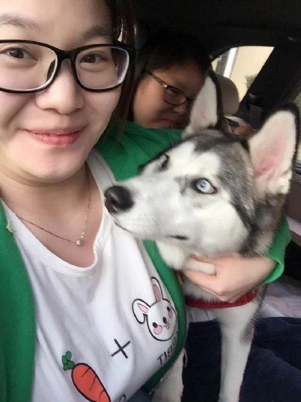 宠主和哈士奇的合照二哈的表情总是让人开怀大笑