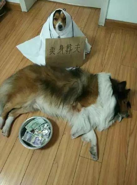 妹子,你的设备有点落伍了,该换新装备了