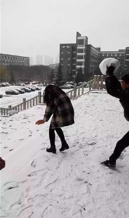 下雪|打雪仗|雪球_新浪新闻