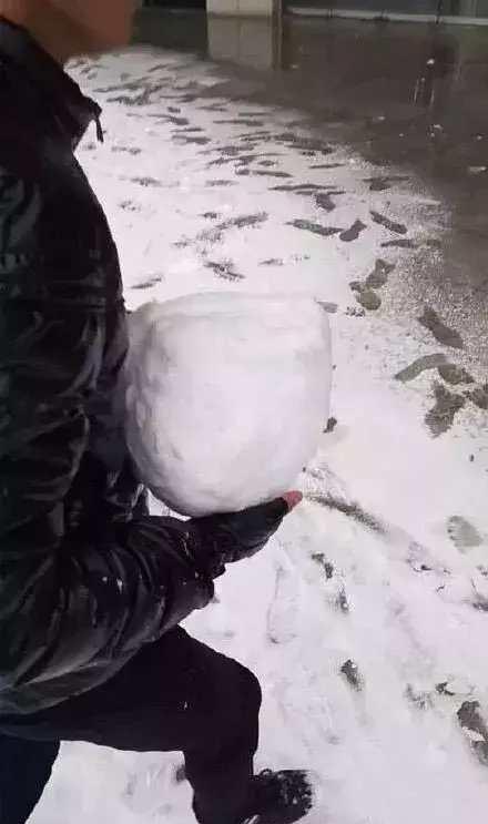 下雪|打雪仗|雪球_新浪新闻