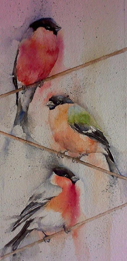 国际水彩女性艺术家希尔维亚绘画作品