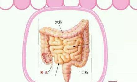 内脏清洁很重要, 健康养生也要注重内脏清洁|健康养生|护肝|大肠_新浪