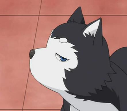 过七夕二次元的单身狗你惹不起二次元萌狗大暴走