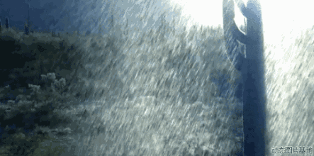 大雨!暴雨!接下来一个月可能都要泡在水里了!