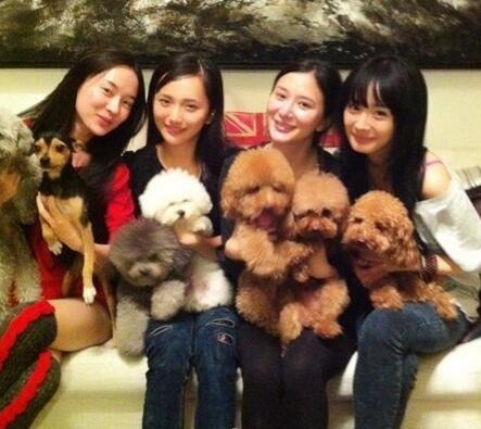 李小璐"夜宿门"事件,意外的把"李小璐闺蜜团"这个词炒火了,"泰迪姐妹