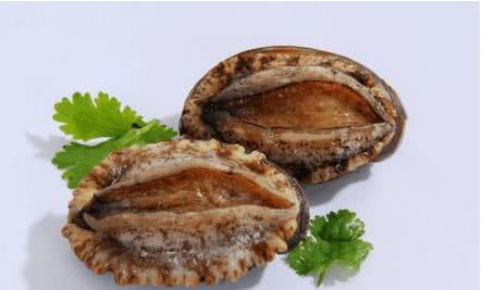 全球十大最顶级最贵的海鲜,只有一种来自中国