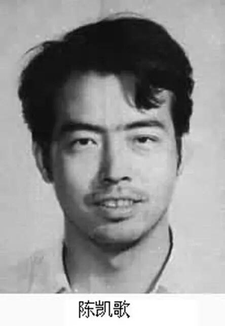 陈红儿子陈飞宇造型辣眼原形毕露爸爸陈凯歌的基因太强大了