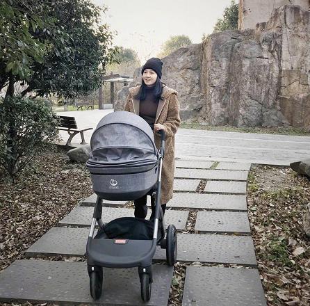 朱丹带娃放风惹争议,婴儿推车才是亮点,网友:不如我几百块的