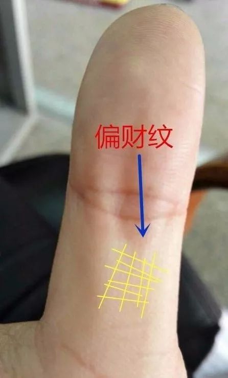 手相|大拇指|权势_新浪新闻