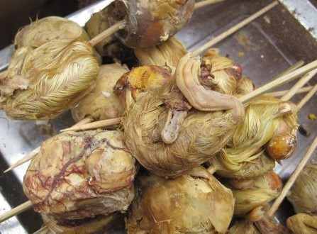 你知道毛蛋的营养价值吗?看完还敢吃吗?