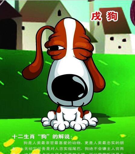 十二生肖2018年运程快来看看你的生肖