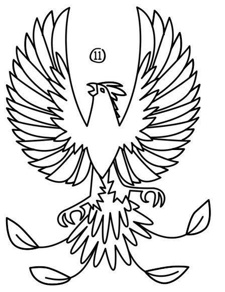 8种常见飞鸟类育儿简笔画开发宝宝智力简单又好画