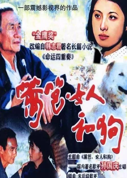 我不信你都看过|电视剧|经典|蝴蝶梦_新浪新闻