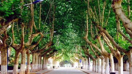 最新发现：温州塘下友谊路上有好多女孩，她们到底在忙些什么呢