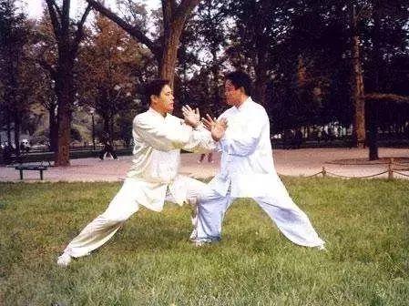 你真的了解太极吗?太极推手是怎样的功夫?|太极拳|推手|技法_新浪新闻