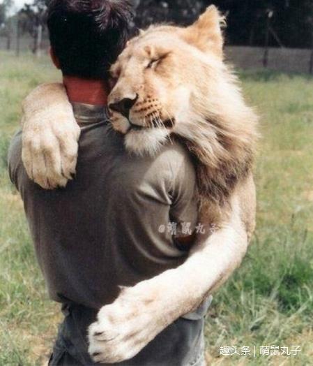 一组看完就想拥抱的暖心图片:原来拥抱也如此美好